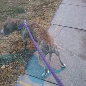 Meet your Posher, Shane